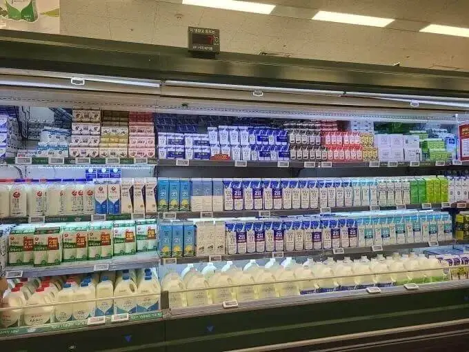 마트에 진열된 우유